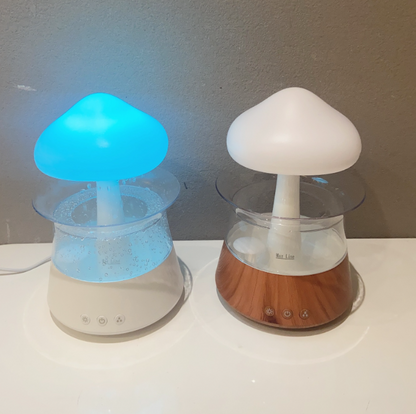 Aroma Humidifier